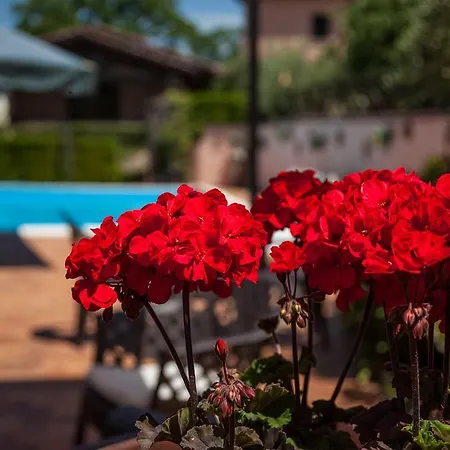 Agriturismo San Lorenzo * Casa Castalda