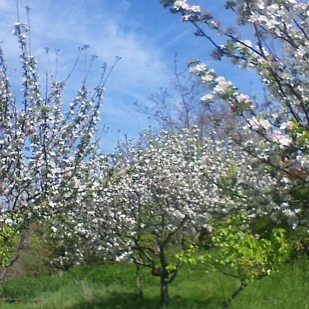 Agriturismo San Lorenzo Farm stay