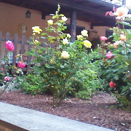 Agriturismo San Lorenzo Farm stay *